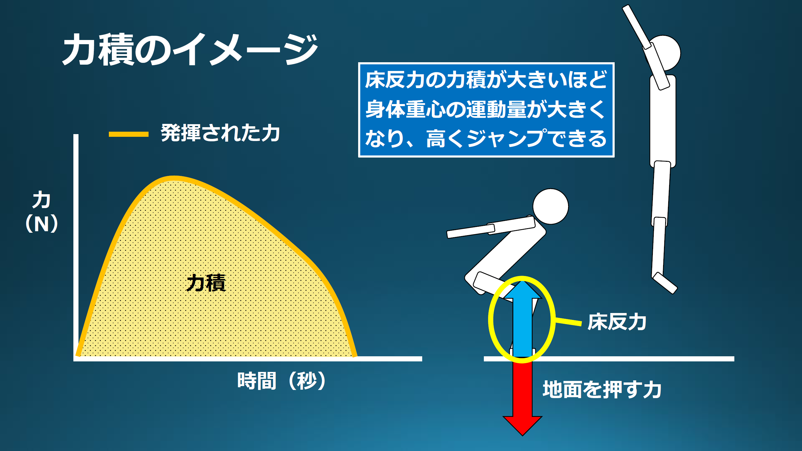 より高くジャンプするための力学的視点とそのトレーニング