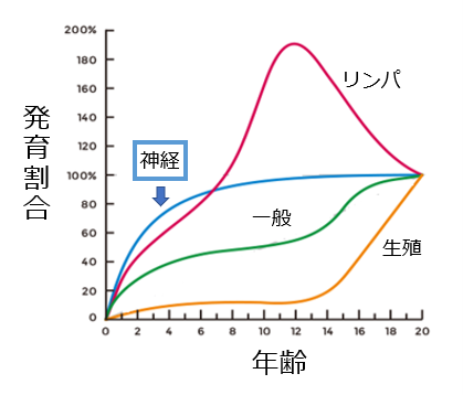 お父さんコーチへ伝えたい「スポーツ障害予防の基礎知識」