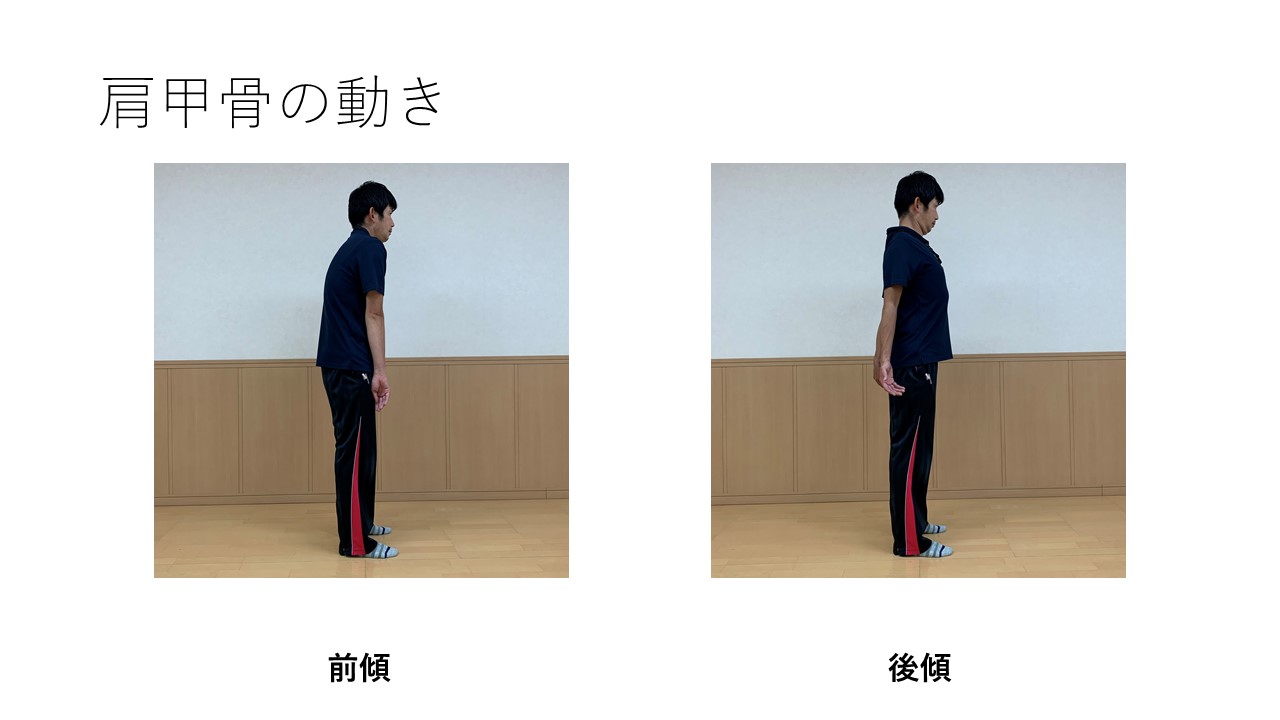 投球・打撃パフォーマンスUP・肩肘ケガ予防には体幹を捻れ！