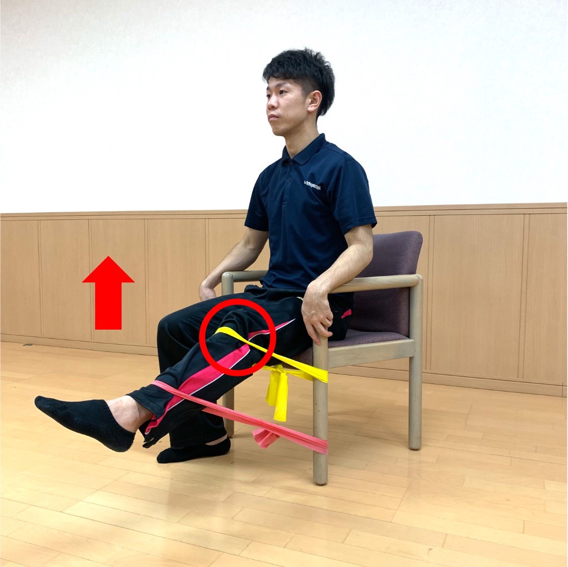 膝周りのアスレティックトレーニング