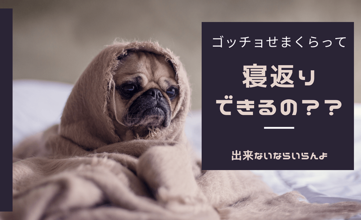 デジタル時代の肩・首・背中をかろやかに美しく保つ方法
