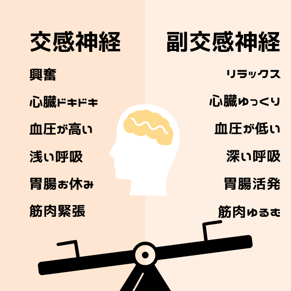 デジタル時代の肩・首・背中をかろやかに美しく保つ方法