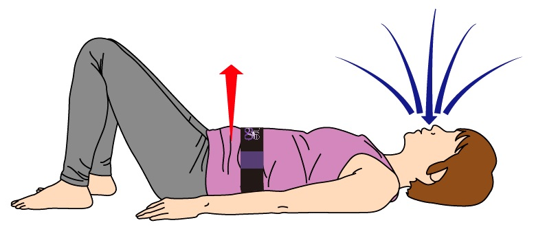 体幹を安定させるために大事なコト!寝たままできるトレーニングを大公開
