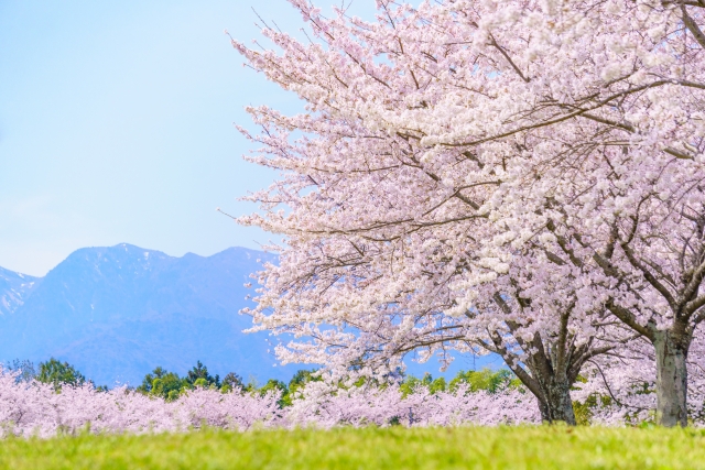 花粉症に効く万能ツボ押し!