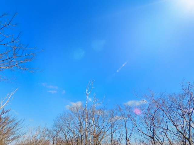 今年の疲れは今年のうちに!上半身ストレッチ3選