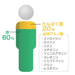サン・クロレラAパウダー