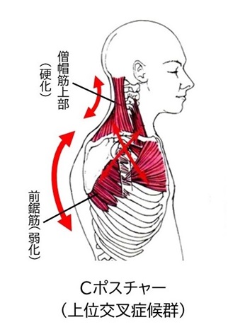 肩甲骨の柔軟性を高め、ゴルフの上達と健康増進を!