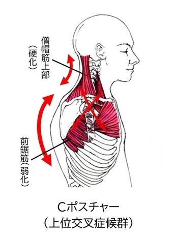 肩甲骨の柔軟性を高め、ゴルフの上達と健康増進を！