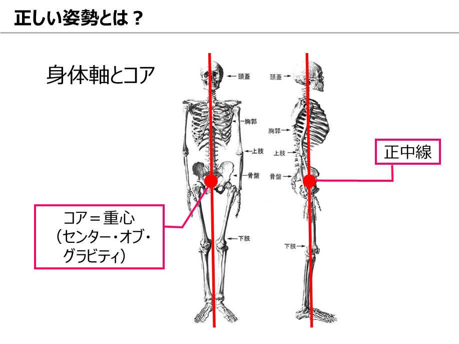 体幹の可動域UPストレッチと体幹トレーニング方法