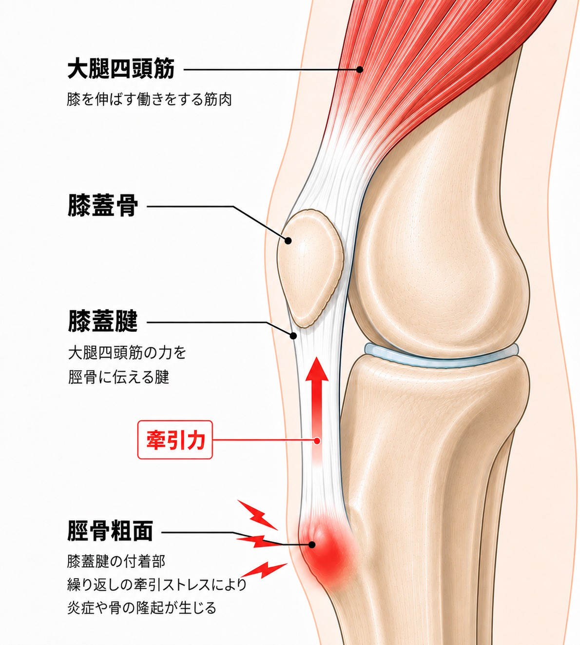 ゴルフを始めたい方向け、アイテムの選び方