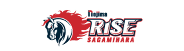 sagamihararise